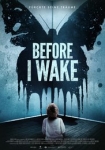 Before I Wake